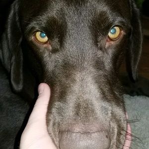 Meet your Posher, Nicholas